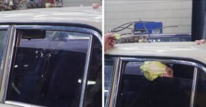 Creano l’alzacristali per auto “più veloce al mondo”, in grado di tagliare salsicce e verdure come su ‘Fruit Ninja’ (VIDEO)