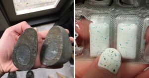 15 Foto che illustrano divertenti coincidenze