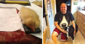 20 Foto che sono il perfetto ritratto della felicità