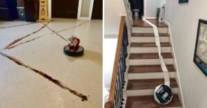 19 aspirapolveri robot che hanno creato un enorme caos