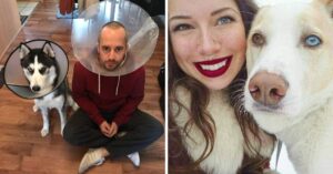15 persone e animali la cui somiglianza sembra essere una sorta di segno del destino