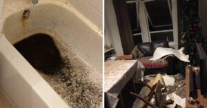 13 inquilini che hanno dovuto affrontare situazioni assurde nei loro appartamenti
