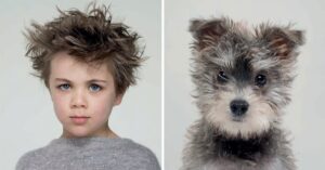Il fotografo mette in posa i cani e i loro padroncini e la somiglianza è inquietante: 10 Foto