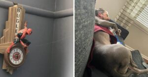 20 foto che mostrano che la vita è piena di coincidenze