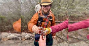 Un’illusione ottica che fa “impazzire” le persone: quante persone ci sono nella foto?