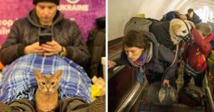Che stretta al cuore: 20 persone ucraine scappate con i loro animali dalle loro città per mettersi in salvo