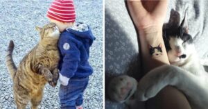 19 gatti il cui amore può scaldare qualsiasi cuore freddo
