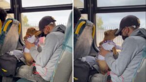 Il giovane viaggia in autobus con il suo cucciolo e inizia a giocare con lui per non annoiarsi