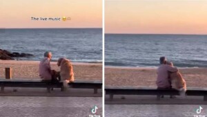 Signore si siede in spiaggia con il suo amato cane e si godono insieme il tramonto