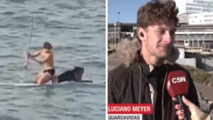 Un giovane va in mare con una tavola da surf per salvare un cane che nuotava senza meta