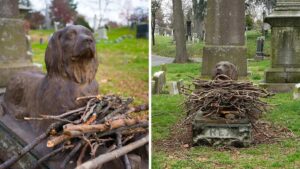 Le persone lasciano dei bastoni su una statua in bronzo di un cane morto più di 100 anni fa