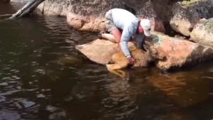 I pescatori aiutano a salvare un cucciolo di alce caduto in acqua (Video)
