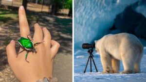 Incontri ravvicinati: 16 foto che mostrano esseri umani e animali estremamente vicini l’uno all’altro
