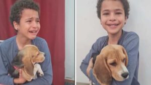 Il ragazzino piange dall’emozione dopo aver adottato un cane abbandonato (Video)
