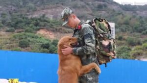 Il momento emotivo tra un cane militare e il suo addestratore conquista i social network