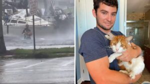 Durante l’uragano Ian alcune persone coraggiose hanno rischiato la vita per salvare gli animali