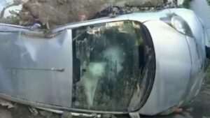 Il cane si rifugia in macchina: è l’unico superstite di una famiglia dopo la frana ad Ischia