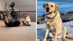 Brian non poteva avere allenatore migliore del suo amico Magnus, un vero therapy dog