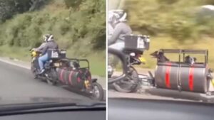 Il motociclista ha adattato la sua moto per poter viaggiare con i suoi cani (Video)