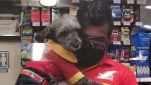 Il cassiere porta il suo cane al lavoro e indossa persino un’uniforme da lavoro