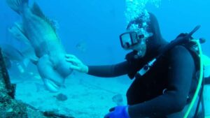 Da oltre 25 anni un sommozzatore giapponese va a visitare il suo migliore amico pesce