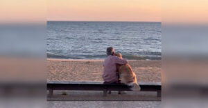 Una donna si commuove osservando un uomo  che guarda il tramonto con il suo cane (Video)