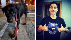 Attore spagnolo salva un rottweiler malnutrito abbandonato in una piazza: “Avrà la vita che si merita”