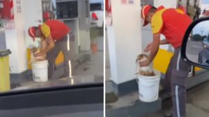 Il lavoratore della stazione di servizio bagna i cani randagi quando fa caldo (Video)