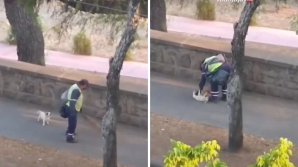 L’uomo esce a pulire le strade con il suo cucciolo affinché gli faccia compagnia
