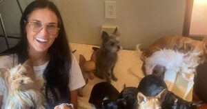 Demi Moore condivide la sua vita da single con sette cani