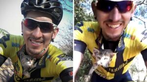 Ciclista si ferma sulla strada per salvare un gattino abbandonato e lui lo ringrazia