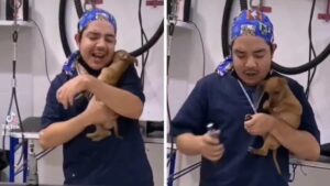 Riprendono un veterinario che canta e balla con un cagnolino per calmarlo (Video)