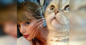 Il gatto di Taylor Swift ha un patrimonio da far invidia. Ecco a quanto ammonta
