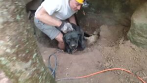 Cane salvato da una grotta non voleva bere acqua: “Volevo solo un abbraccio”