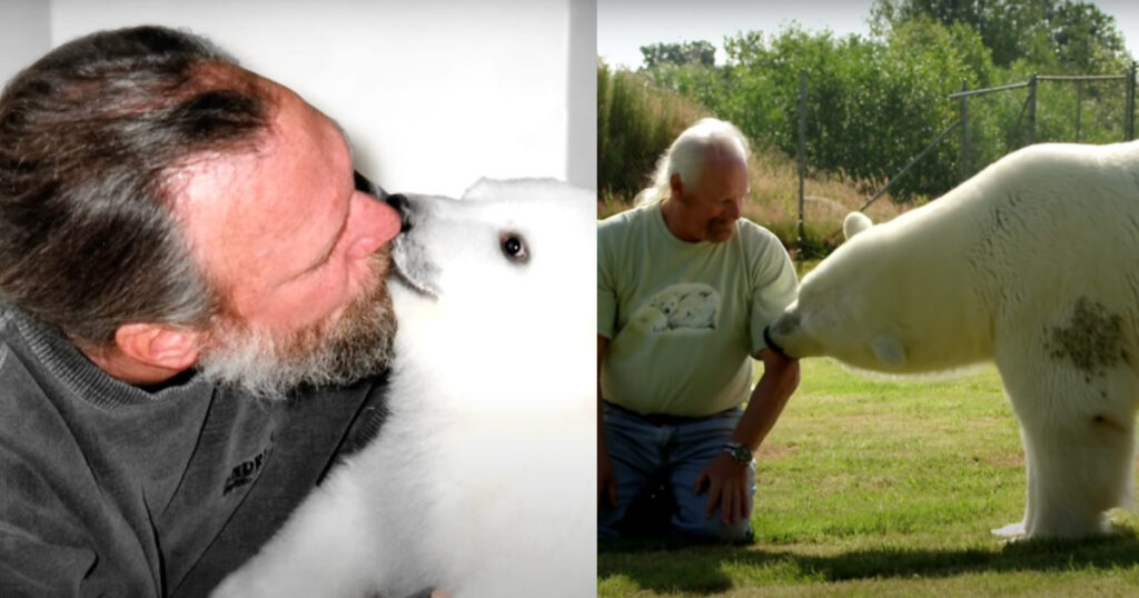 Si conoscono da 19 anni, Mark è l’unico umano ad avere un’amicizia speciale con un orso polare (video)
