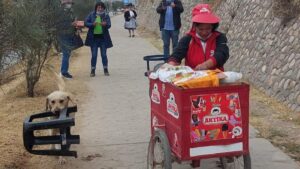 Il cagnolino porta la sedia della sua padrona e la aiuta a vendere il gelato per strada