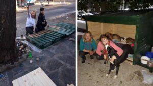 Le donne si uniscono per costruire una casa per aiutare i cuccioli senzatetto