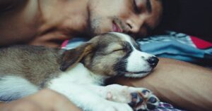 Dormire con un cane può risultare più riposante che dormire con un partner