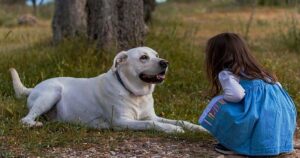 10 Lezioni di vita che i cani possono insegnare ai bambini