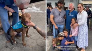 La famiglia trova il cane smarrito mentre cerca un altro cucciolo durante un evento di adozione