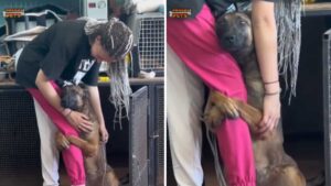Il cane abbraccia la gamba della donna quando scopre che sarà adottato (Video)