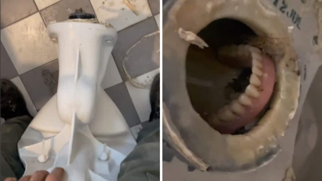L’idraulico è andato a controllare un wc intasato e quello che ha trovato lo ha lasciato sotto “shock” (VIDEO)