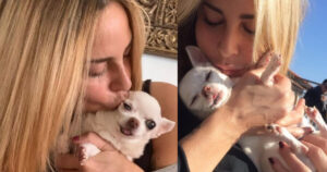 Il doloroso post di Stefania Orlando per la sua fedele compagna Margot: il cane avrebbe compiuto 19 anni