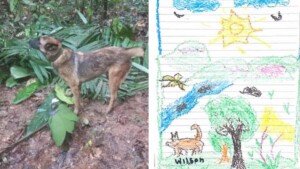 I bambini sopravvissuti nella giungla colombiana ricordano il cucciolo che si è preso cura di loro: “Gli manca”