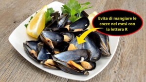 Evita di mangiare le cozze nei mesi con la lettera R. Ecco perché