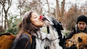 Cosa succede se un cane vi lecca sulla bocca?