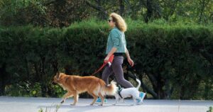 Cose che il tuo cane odia durante la passeggiata