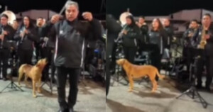 Un cane randagio della città si unisce alla banda e inizia a cantare l’inno nazionale del luogo. (Video)