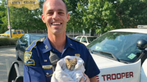 Gli agenti di polizia trovano una gattina impaurita e le offrono una nuova casa amorevole