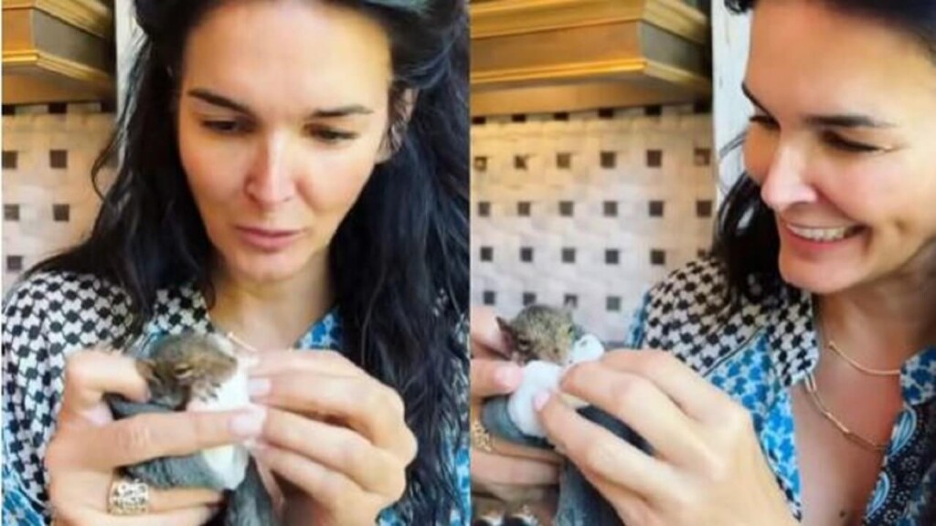 L’attrice di “Rizzoli & Isles,” adotta un cucciolo di scoiattolo, posta i video e suscita l’ammirazione dei  fan.